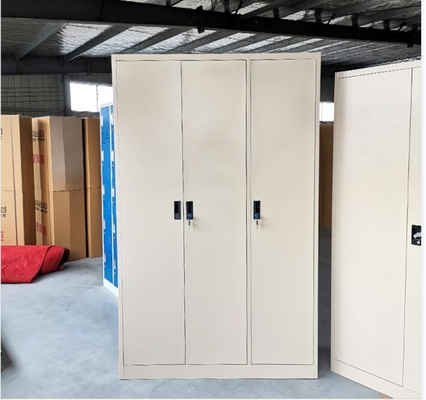 La camera da letto beige copre il gabinetto d'acciaio dell'armadio della porta del Governo di stoccaggio 3
